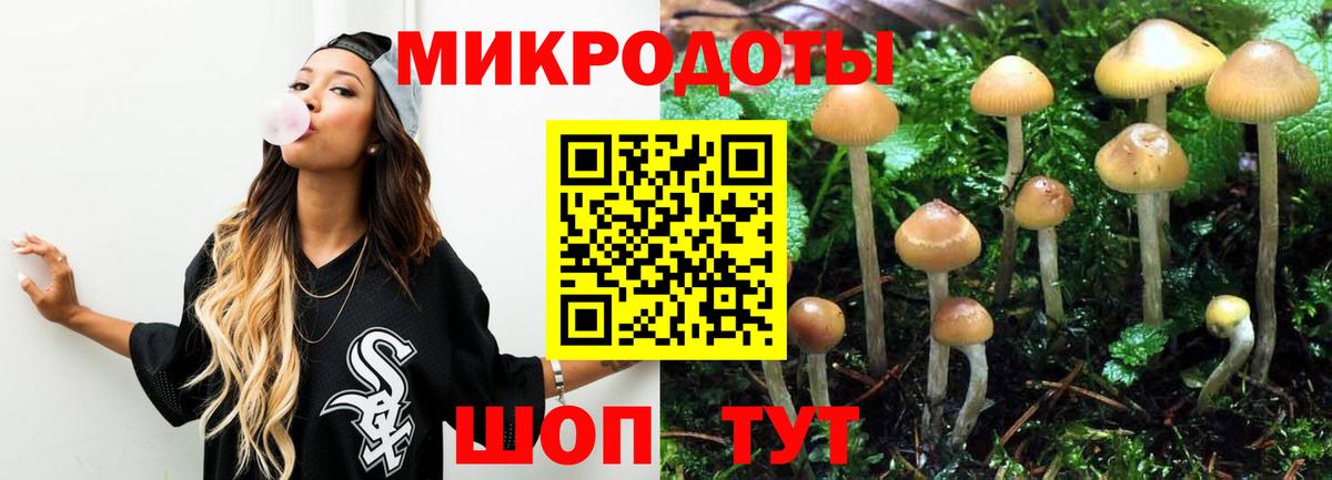 Кимры  Псилоцибиновые грибы мицелий  Вход с VPN 